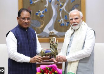 *बस्तर अब डर से नहीं, डिजिटल बदलाव से पहचाना जा रहा है: विष्णुदेव साय*