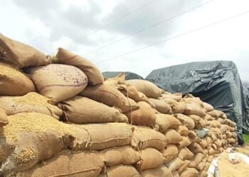 *संग्रहण केंद्र बघर्रा में 6 माह से 41 करोड़ का धान जाम पड़ा* भारतीय जनता पार्टी किसान विरोधी न कि किसान हितैसी:- नवीन जायसवाल *उठाव भी धीमा और संग्रहण केंद्र में एक भी चबूतरा नही है*