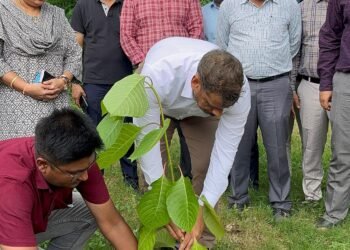 कलेक्टर गोपाल वर्मा ने कलेक्टोरेट परिसर में किया कदम पौधे का रोपण, पर्यावरण संरक्षण का दिया संदेश