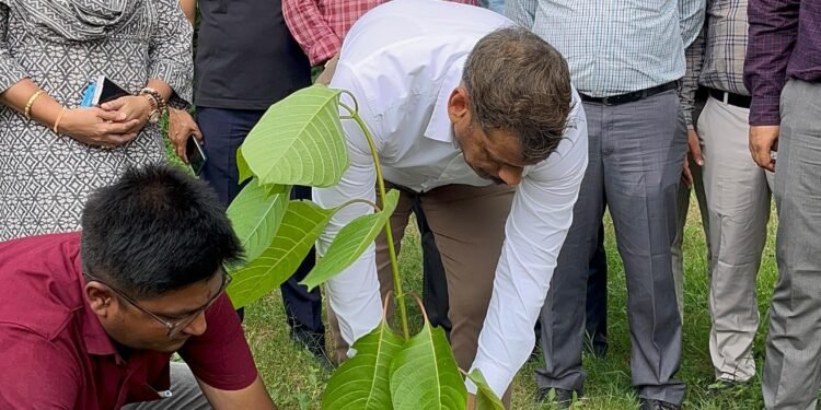 कलेक्टर गोपाल वर्मा ने कलेक्टोरेट परिसर में किया कदम पौधे का रोपण, पर्यावरण संरक्षण का दिया संदेश