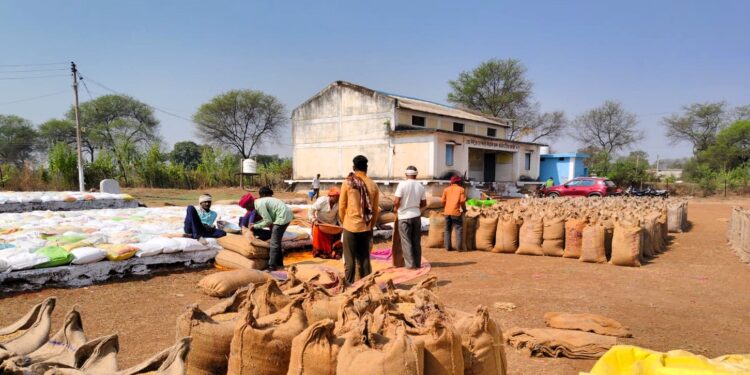 *बालोद जिले में समर्थन मूल्य पर धान खरीदी कार्य सफलतापूर्वक जारी*
