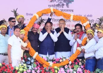 *आदिवासियों के हितों की रक्षा और उनके सर्वांगीण विकास के लिए सरकार कृतसंकल्पित: मुख्यमंत्री साय*