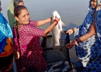 *बिहान योजना से बदल रही जिंदगी, लखपति बनकर आगे बढ़ रहीं जिले की महिलाएँ*