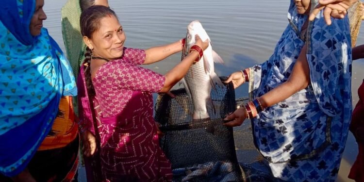 *बिहान योजना से बदल रही जिंदगी, लखपति बनकर आगे बढ़ रहीं जिले की महिलाएँ*