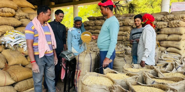 *कबीरधाम जिले में सुचारू रूप से हो रही धान खरीदी*