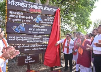 *भोरमदेव जंगल सफारी: घने जंगलों के बीच रोमांच का नया सफर*